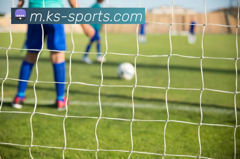 多终端兼容